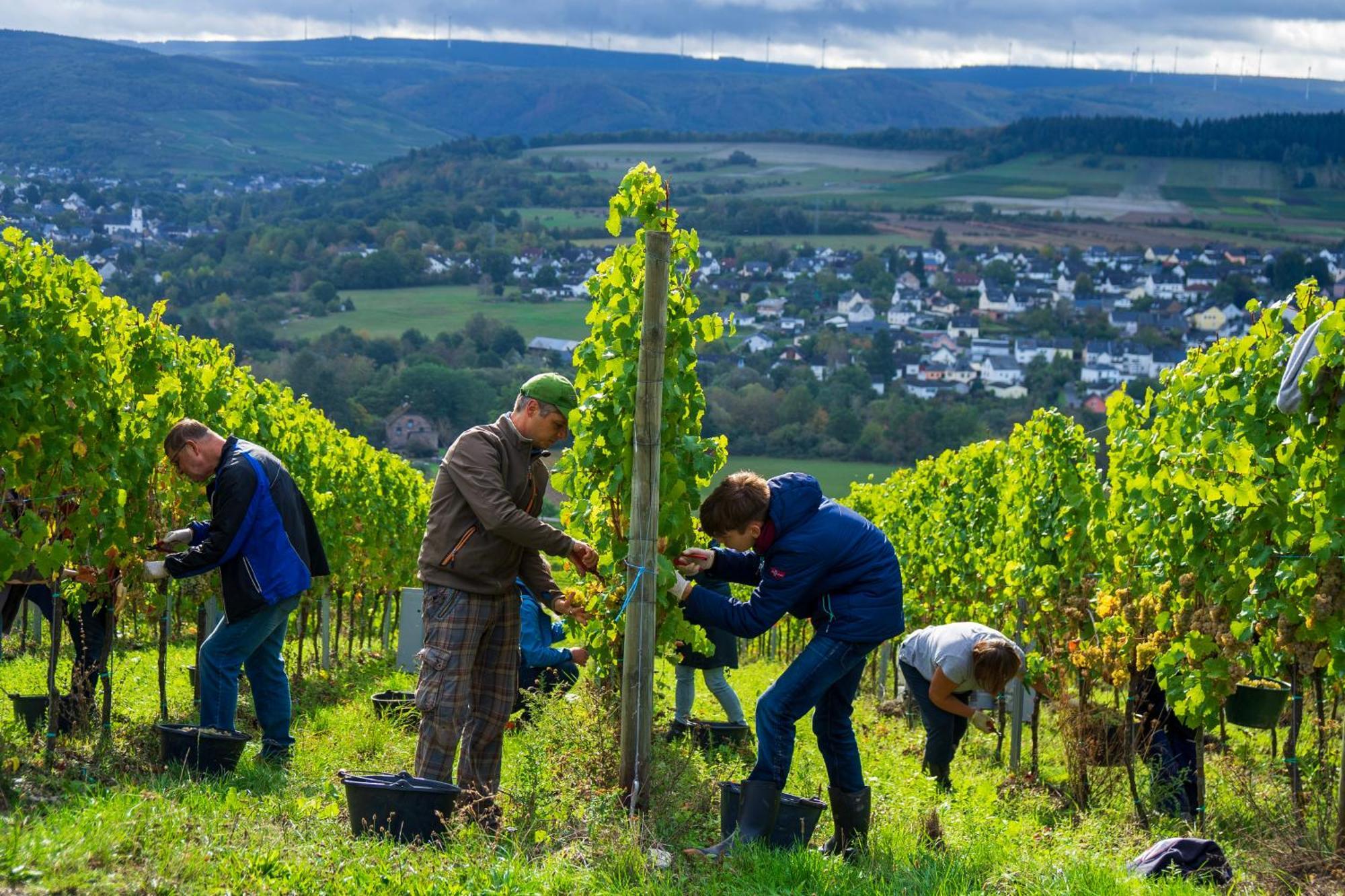 Turmstube Lägenhet Maring-Noviand Exteriör bild
